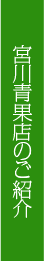 宮川青果店のご紹介